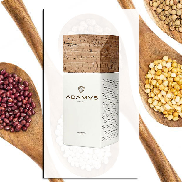 Adamus Kit