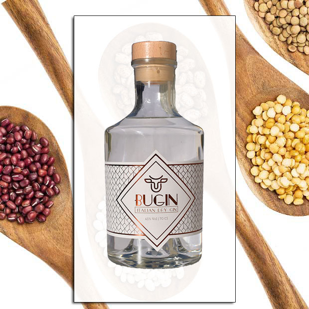 Bugin Kit