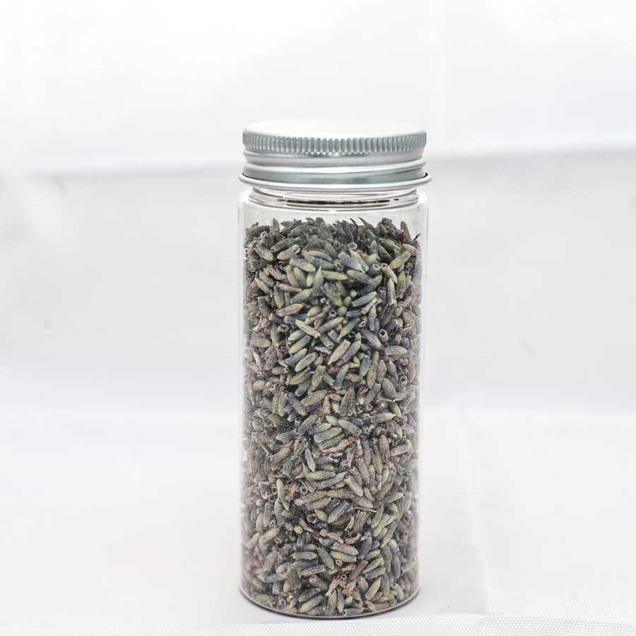 ILGINBOTAN007