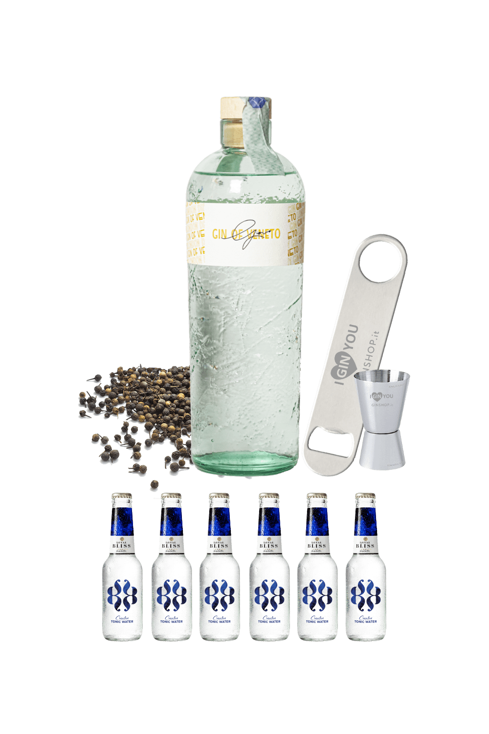 Partystarter – GIoVE